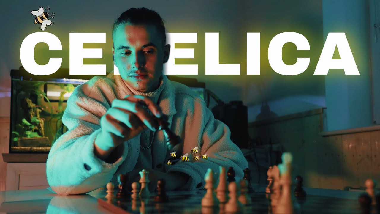 Video: Dani-La — Čebelica